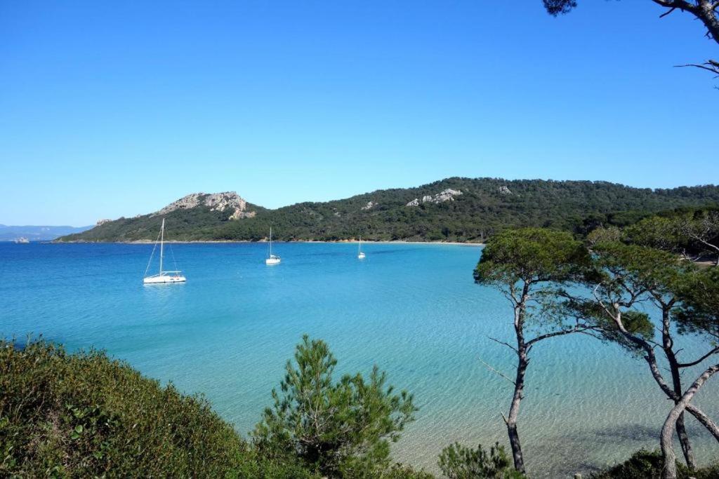 Studio Equipe-Climatise Avec Balcon Au Mourillon A 20M De La Plage Toulon Dış mekan fotoğraf